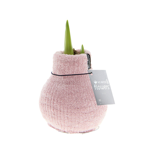 Amaryllis Bulb in Pink Knitted Decoration (Cozy Pink) 